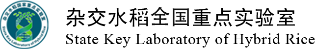 北京大学
